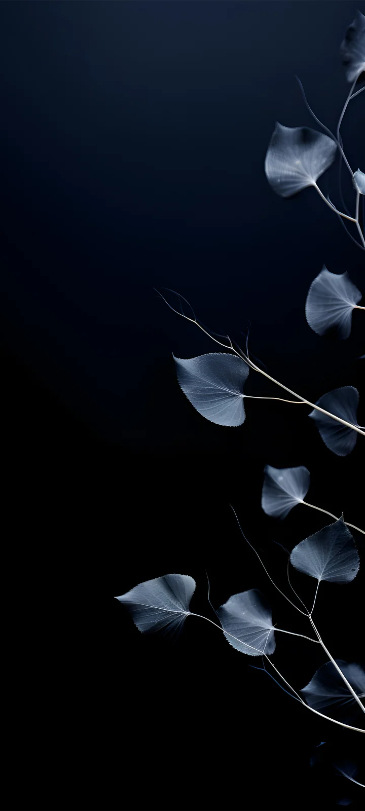 A plant with blue leaves that is lit up at night